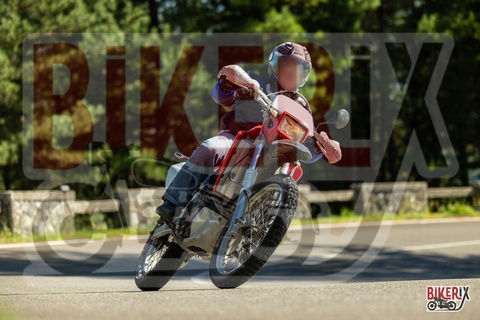 Passo del Muraglione 20-09-25 h15-13 2403