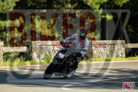 Passo del Muraglione 20-09-25 h15-29 2545