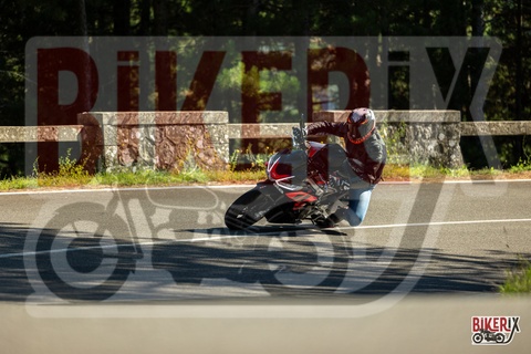 Passo del Muraglione 20-09-25 h15-36 2615