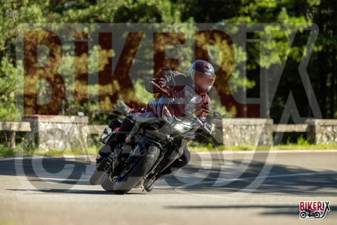 Passo del Muraglione 20-09-25 h15-40 2685