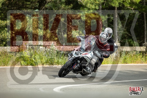 Passo del Muraglione 31-05-25 h15-52 3716