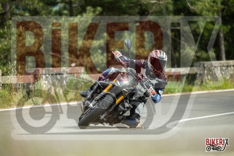 Passo del Muraglione 31-05-25 h15-53 3735