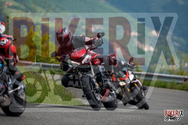 Passo della Futa 10-05-25 h11-24 0280