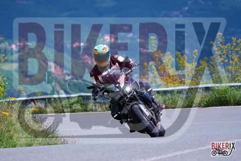 Passo della Futa 17-05-25 h10-49 0433