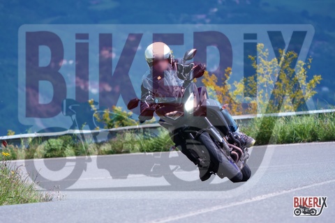 Passo della Futa 17-05-25 h10-58 0569