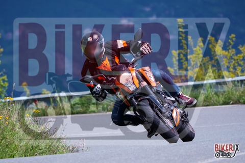 Passo della Futa 17-05-25 h11-08 0735