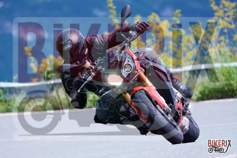 Passo della Futa 17-05-25 h11-08 0743