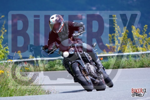 Passo della Futa 17-05-25 h11-11 0798