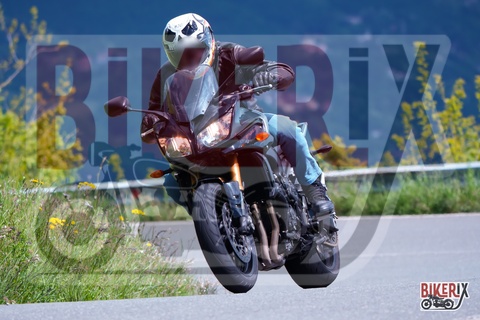 Passo della Futa 17-05-25 h11-11 0805