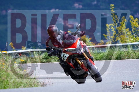 Passo della Futa 17-05-25 h11-17 0910