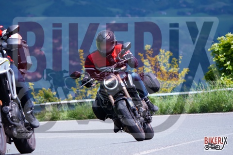 Passo della Futa 17-05-25 h11-18 0929