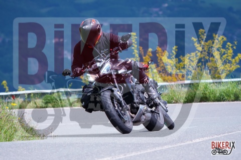 Passo della Futa 17-05-25 h11-22 1062