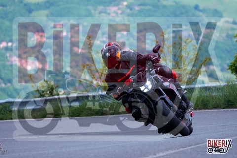 Passo della Futa 17-05-25 h11-51 1539