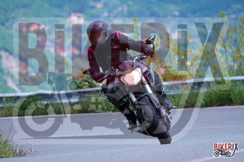 Passo della Futa 17-05-25 h11-54 1641