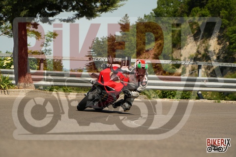 Passo della Futa 18-05-25 h10-43 0087