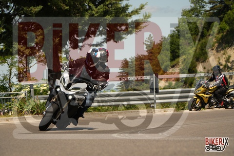 Passo della Futa 18-05-25 h10-54 0190