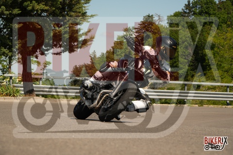 Passo della Futa 18-05-25 h10-56 0220