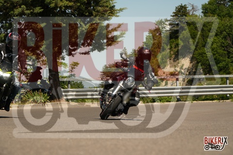 Passo della Futa 18-05-25 h10-56 0222
