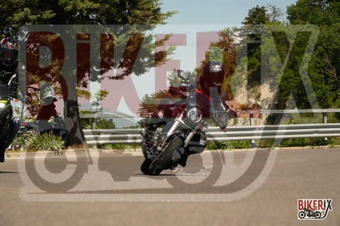 Passo della Futa 18-05-25 h10-56 0223
