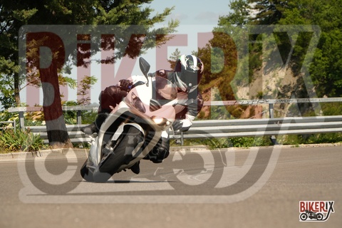 Passo della Futa 18-05-25 h10-56 0235