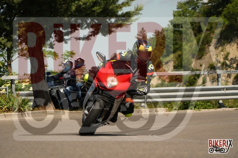 Passo della Futa 18-05-25 h10-56 0243