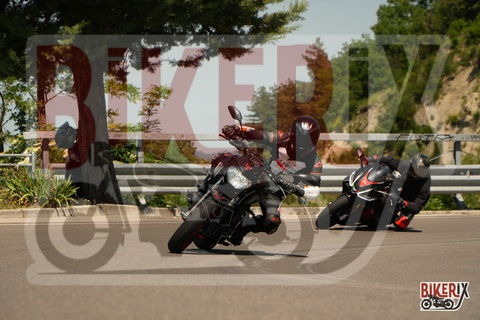 Passo della Futa 18-05-25 h11-24 0422