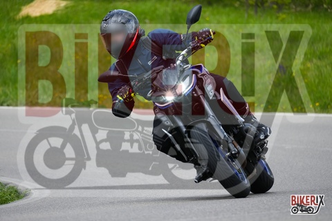 Passo della Futa 26-04-25 h11-55 1183