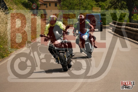 Passo della Futa E 02-06-25 h11-31 0622