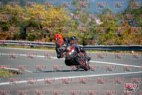 Passo della Futa E 11-10-25 h11-16 0059