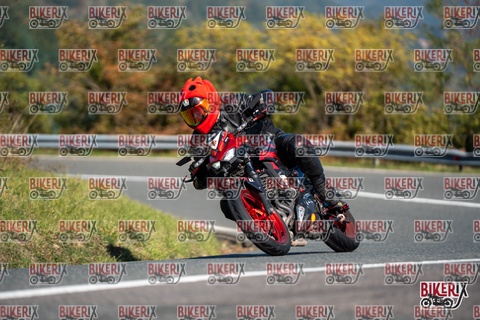 Passo della Futa E 11-10-25 h11-16 0060