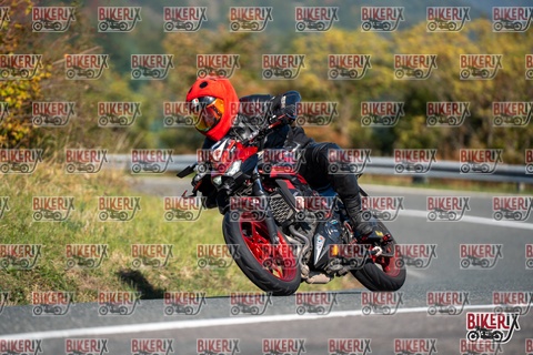 Passo della Futa E 11-10-25 h11-16 0061