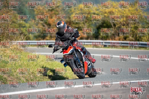 Passo della Futa E 11-10-25 h11-17 0063