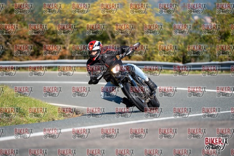 Passo della Futa E 11-10-25 h11-18 0069