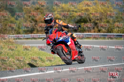 Passo della Futa E 11-10-25 h11-18 0074