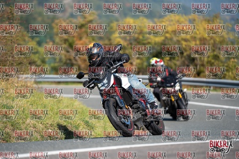 Passo della Futa E 11-10-25 h11-19 0080