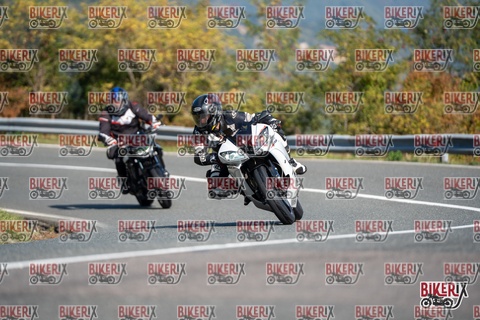 Passo della Futa E 11-10-25 h11-20 0087