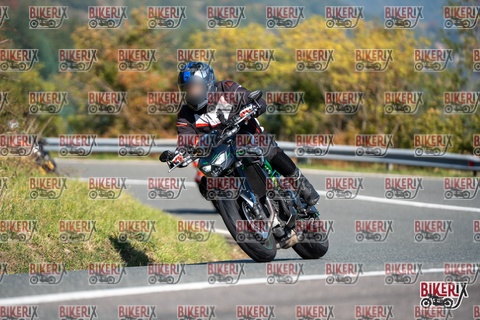 Passo della Futa E 11-10-25 h11-20 0093