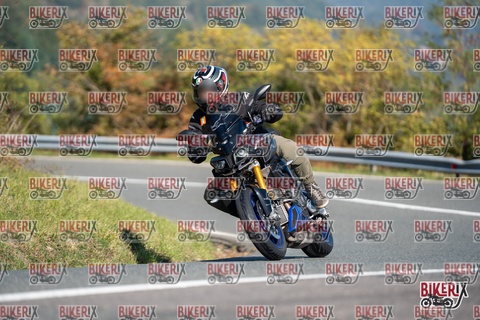 Passo della Futa E 11-10-25 h11-20 0101