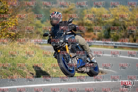 Passo della Futa E 11-10-25 h11-20 0103