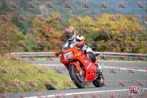 Passo della Futa E 11-10-25 h11-22 0114