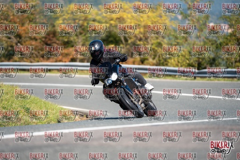 Passo della Futa E 11-10-25 h11-23 0127