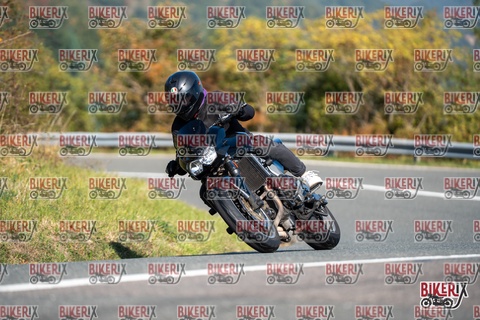 Passo della Futa E 11-10-25 h11-23 0129