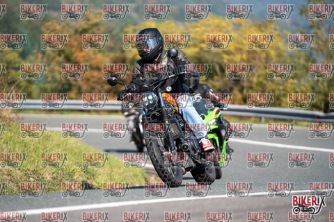 Passo della Futa E 11-10-25 h11-26 0139