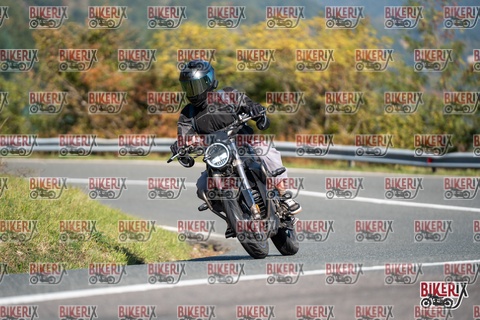 Passo della Futa E 11-10-25 h11-26 0141