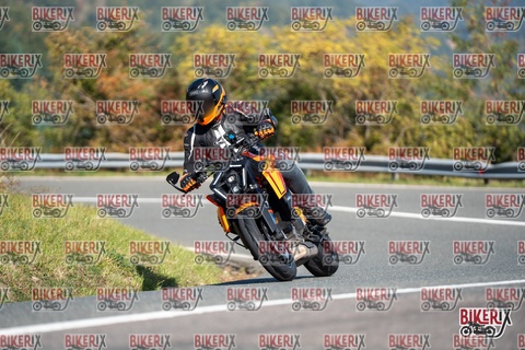 Passo della Futa E 11-10-25 h11-26 0148