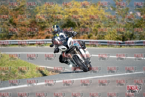 Passo della Futa E 11-10-25 h11-27 0154