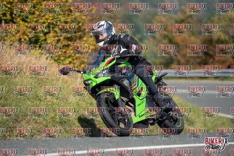 Passo della Futa E 11-10-25 h11-27 0166