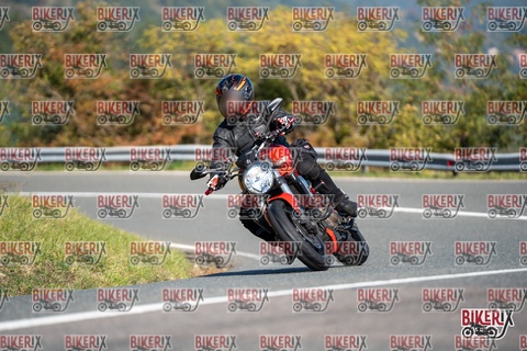 Passo della Futa E 11-10-25 h11-29 0177