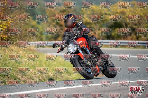 Passo della Futa E 11-10-25 h11-29 0179