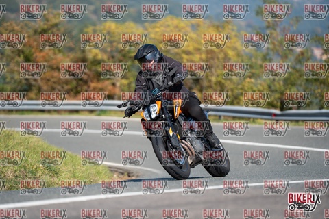 Passo della Futa E 11-10-25 h11-32 0195